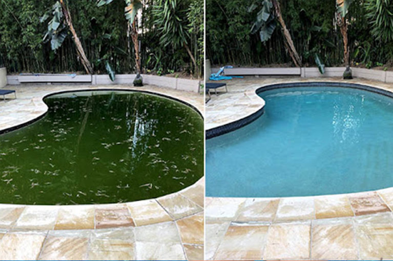 Green Pool Recovery Service
